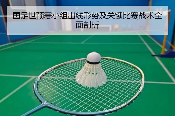 国足世预赛小组出线形势及关键比赛战术全面剖析